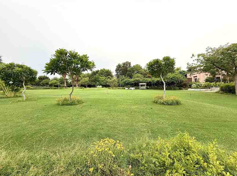 3 Bhk Luxurious Farm with Pool in Gurugram 