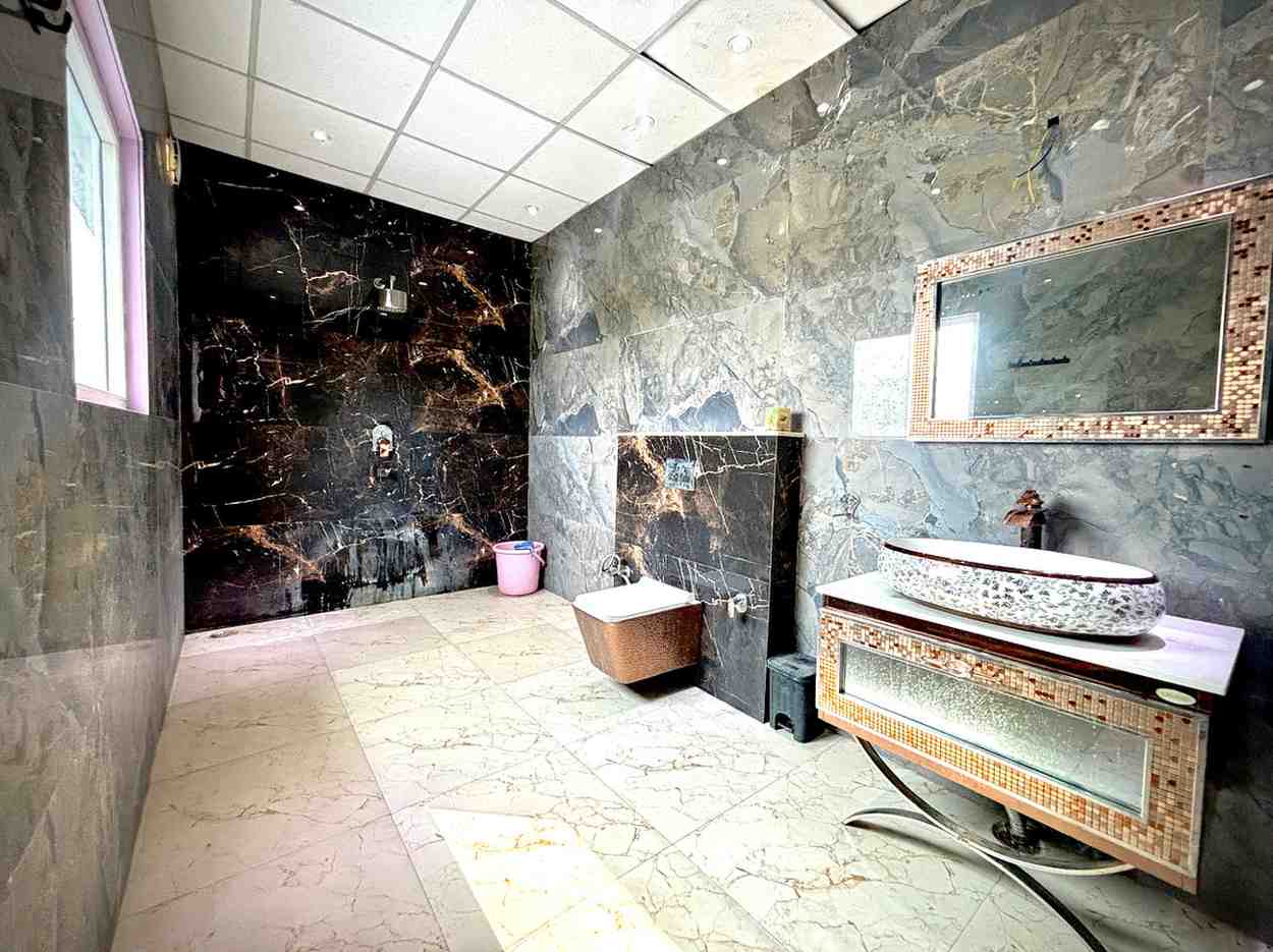 3 Bhk Lavish Farmhouse in Noida