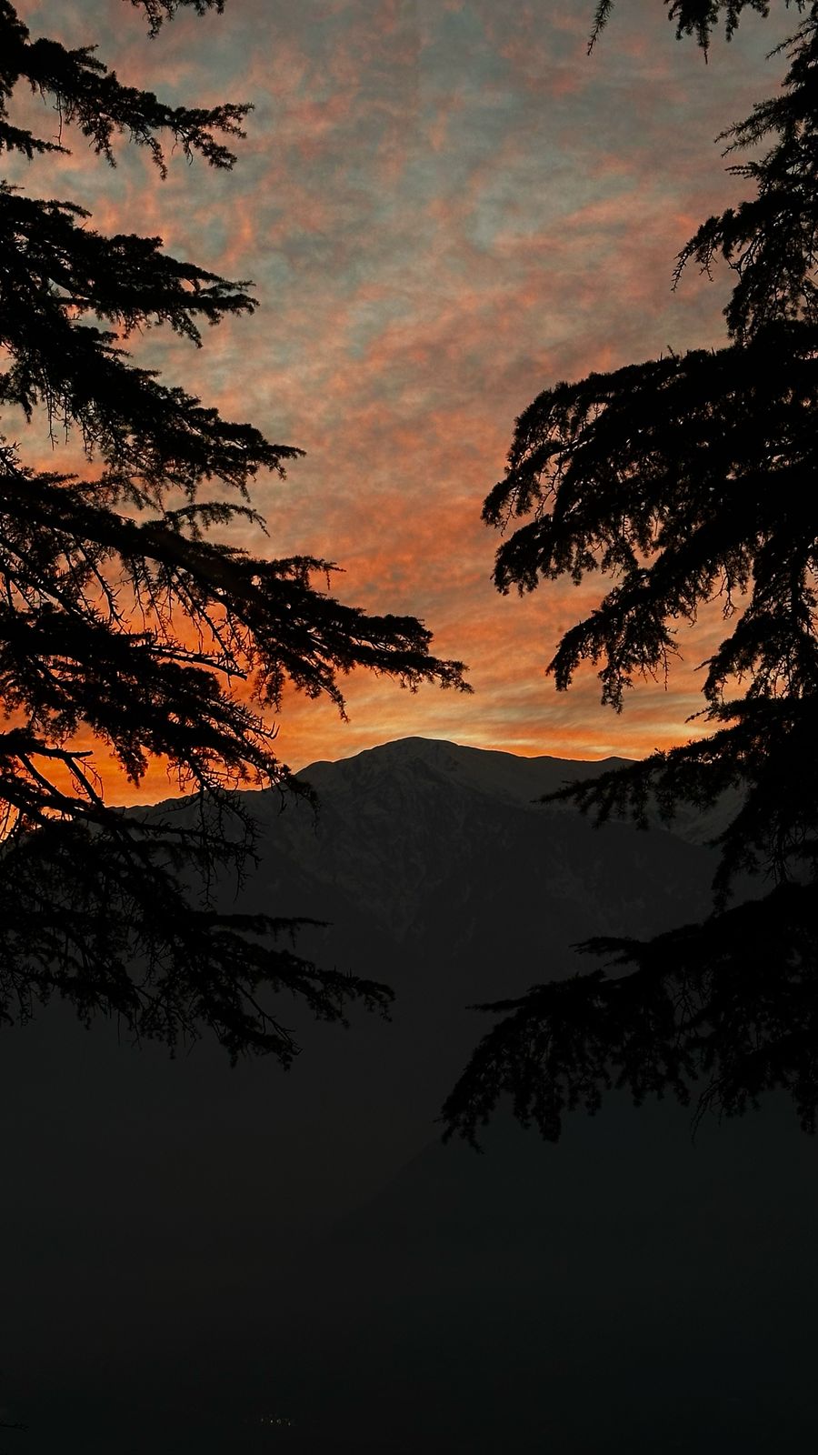 Beautiful Homestay With Breath taking views near Manali with Breath taking Views