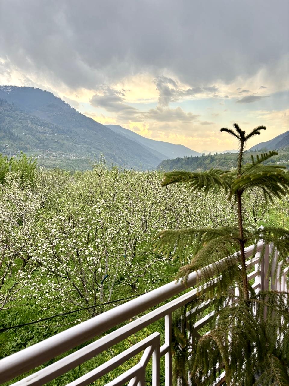 Family Suite 2 Room Homestay with Kitchen Near Manali 