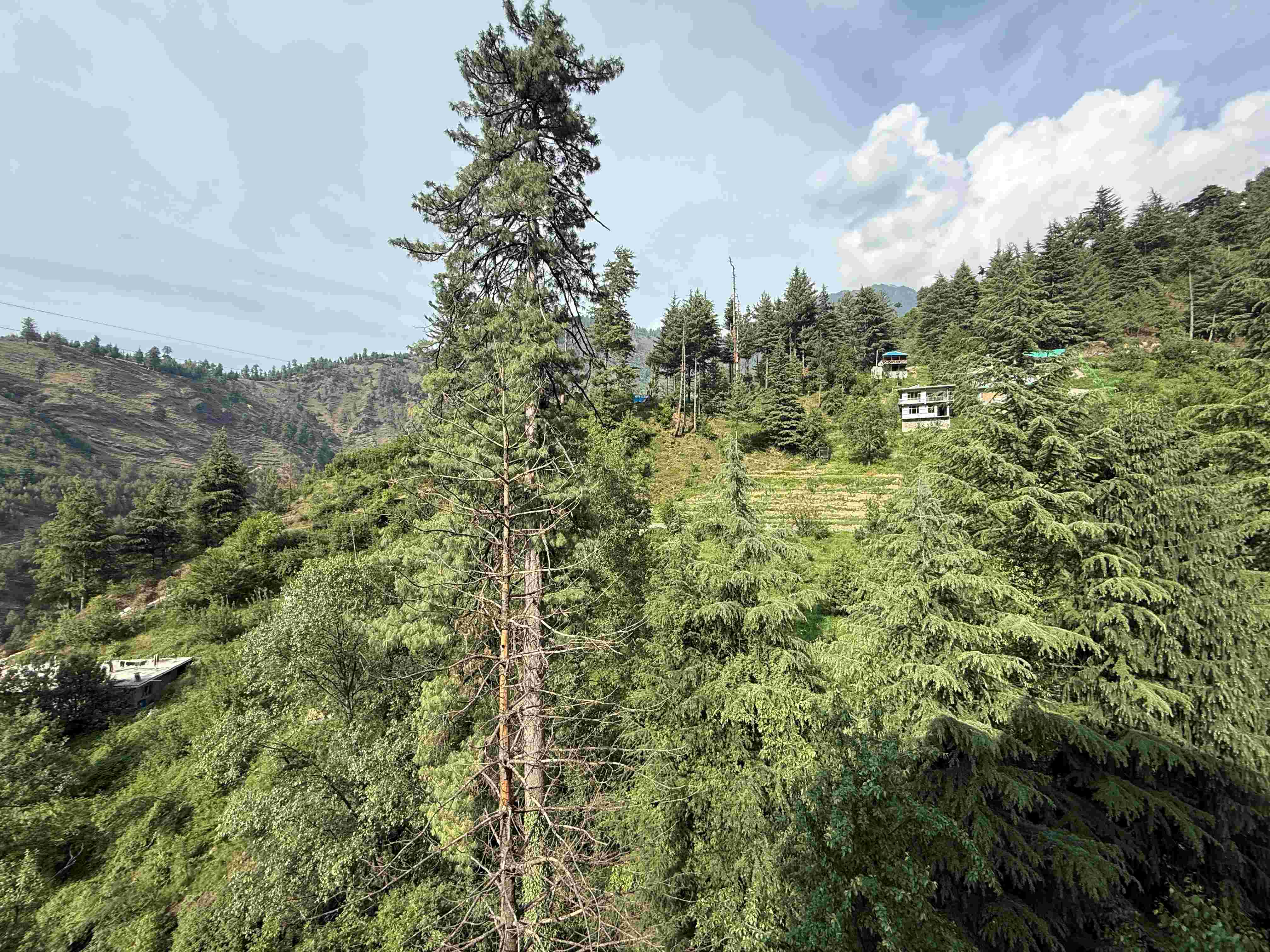 Boutique Family Suite Homestay Near Manali