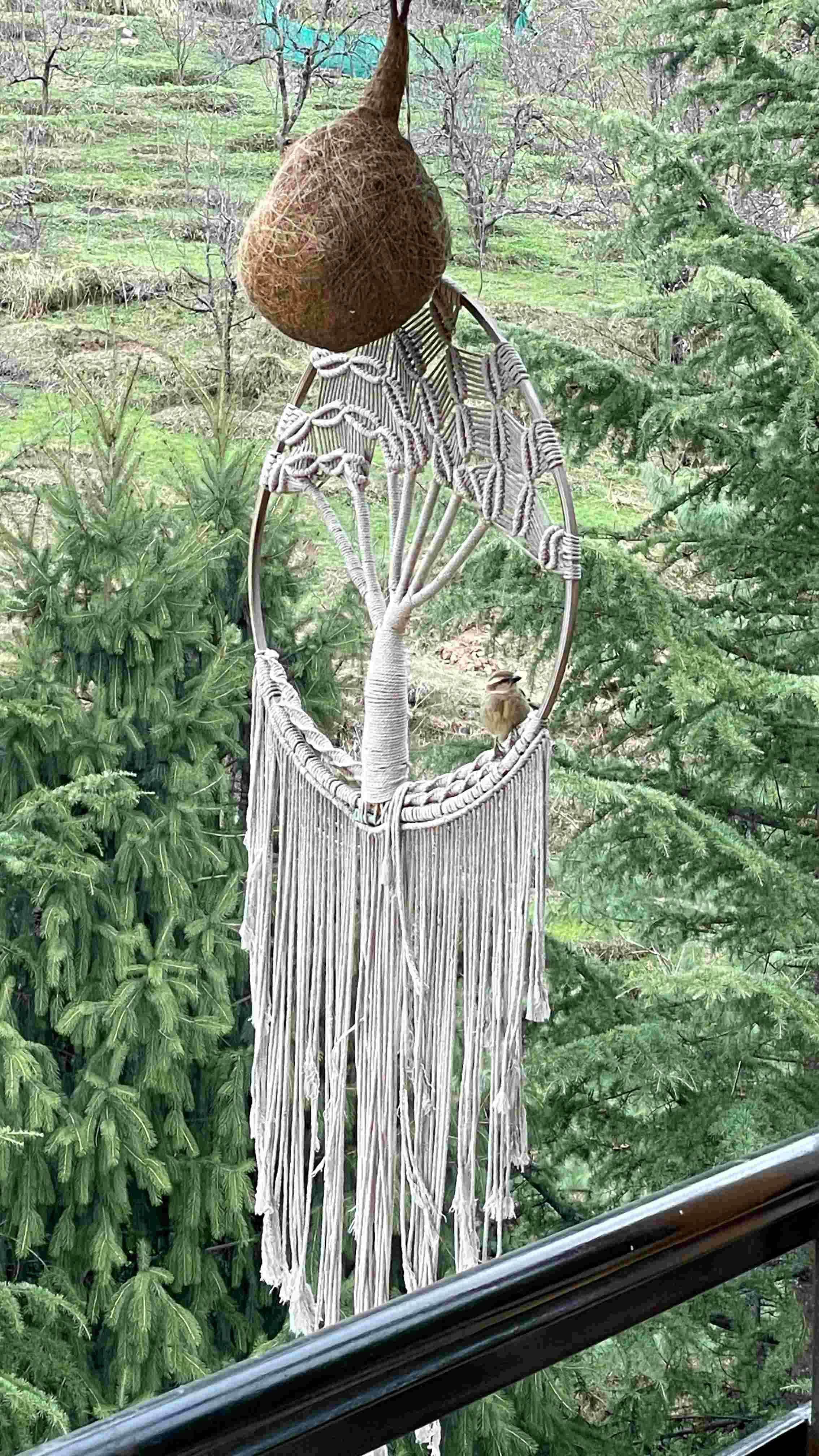 Boutique Family Suite Homestay Near Manali