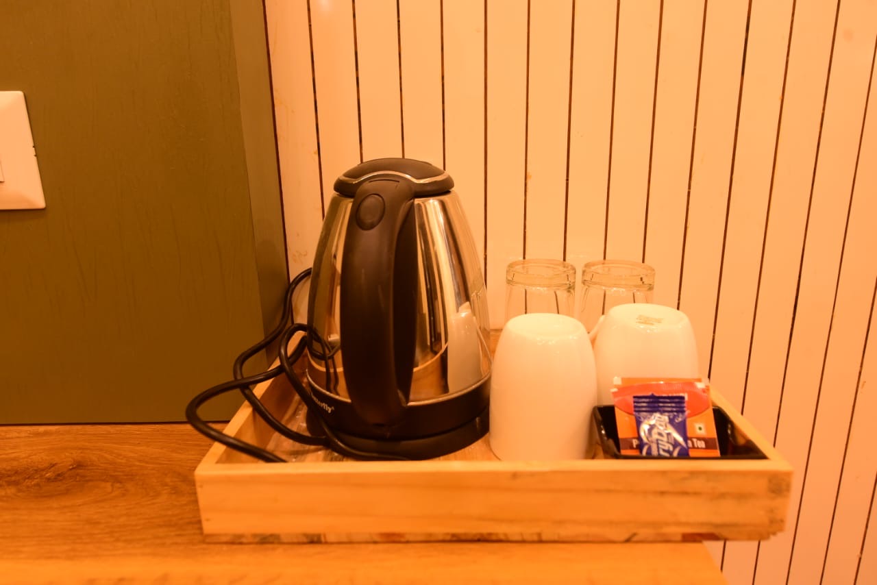 6 BHK Luxurious Villa in Udaipur